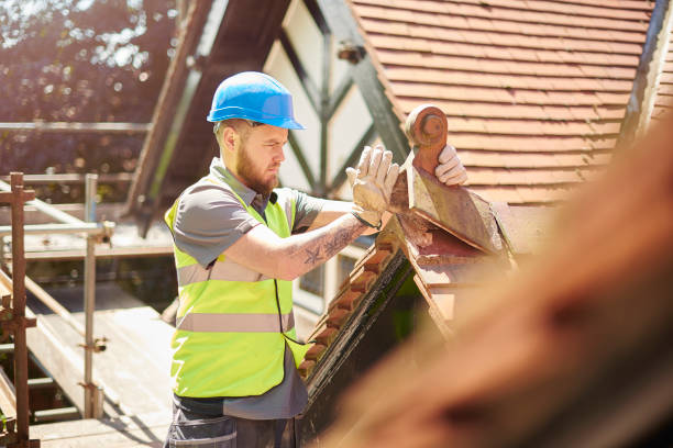Best Storm Damage Roof Repair  in Mulberry, IN